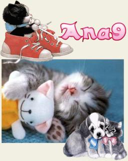 ana9