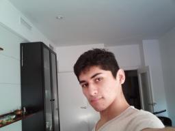 sagistat